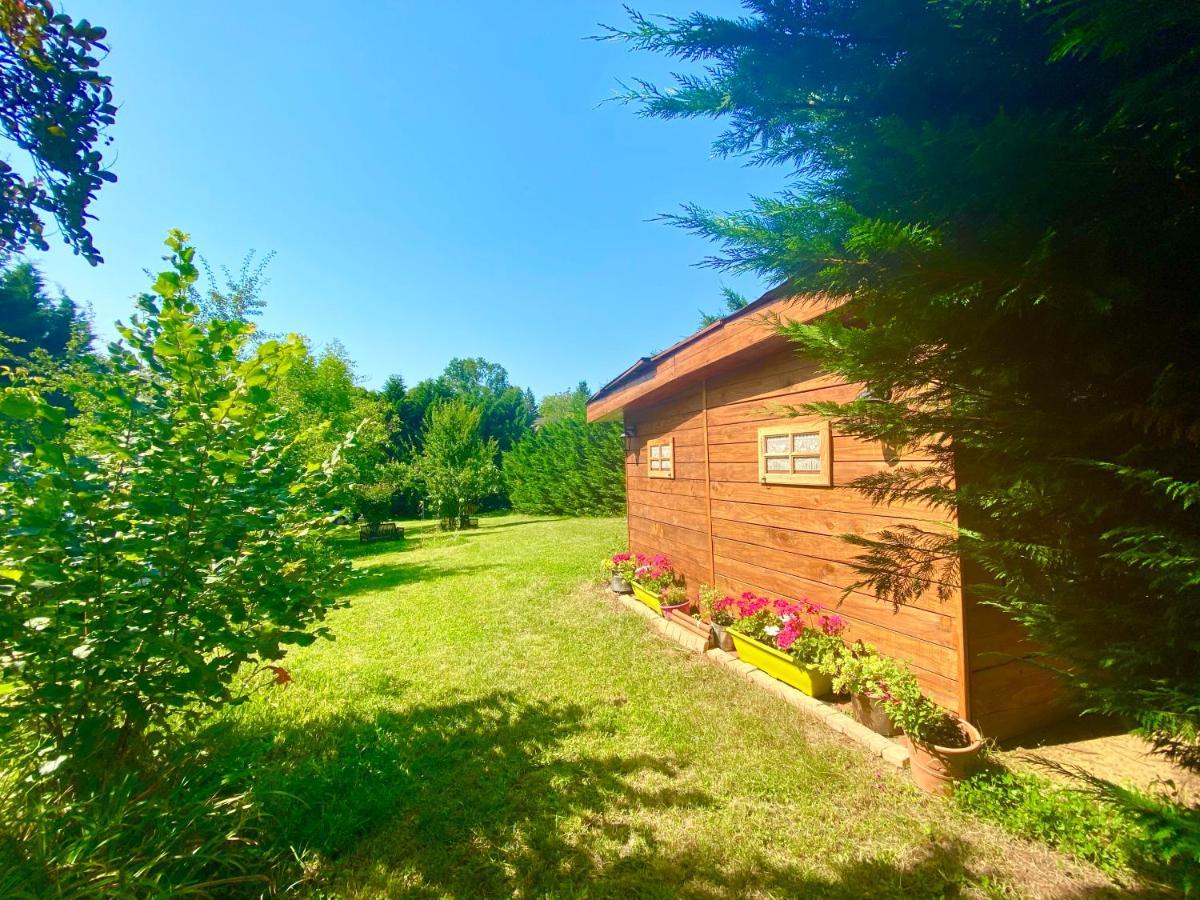 O Clair De Lune Au Coeur De Sarlat - Chambres Climatisees - Parking Prive - Piscine Chauffee - Spa Et Massages Exteriör bild